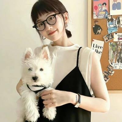 同志亦凡人第五季
